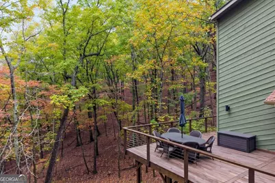 102 Jack Pine Court, Waleska, GA 30183 - Photo 44