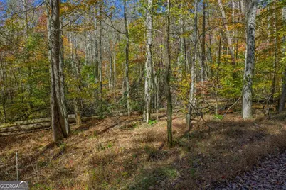 0 Willard Mountain Road, Blue Ridge, GA 30513 - Photo 12