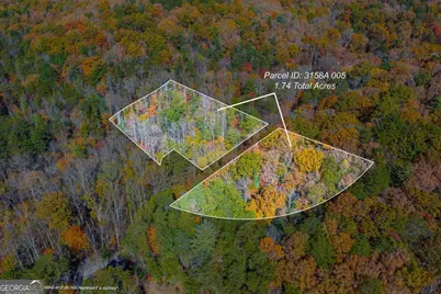 0 Willard Mountain Road, Blue Ridge, GA 30513 - Photo 1