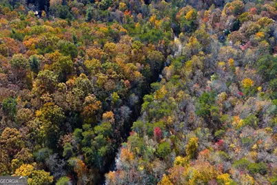 0 Willard Mountain Road, Blue Ridge, GA 30513 - Photo 8