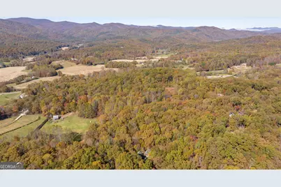 1010 Meadowview Ridge, Clarkesville, GA 30523 - Photo 54