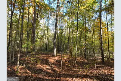 56 Ivey Circle, Forsyth, GA 31029 - Photo 26