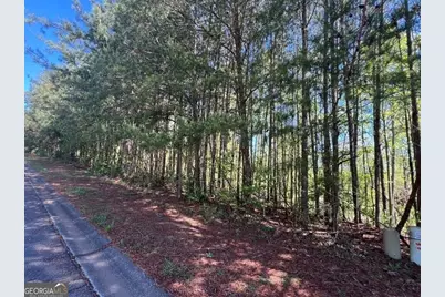 922 Whistler Lane #67, Canton, GA 30114 - Photo 6