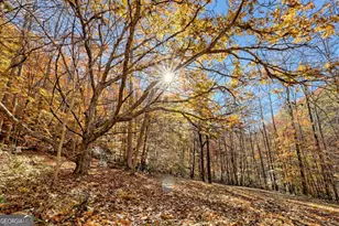 1307 Clear Creek Rd, Hayesville, NC 28904 - Photo 4