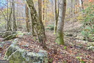 1307 Clear Creek Rd, Hayesville, NC 28904 - Photo 8