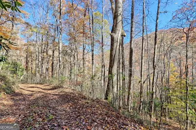 1307 Clear Creek Road, Hayesville, NC 28904 - Photo 62