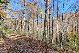 1307 Clear Creek Rd, Hayesville, NC 28904 - Photo 62