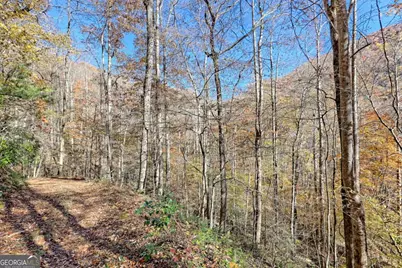 1307 Clear Creek Road, Hayesville, NC 28904 - Photo 64