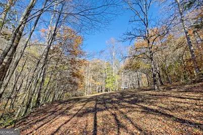 1307 Clear Creek Road, Hayesville, NC 28904 - Photo 44