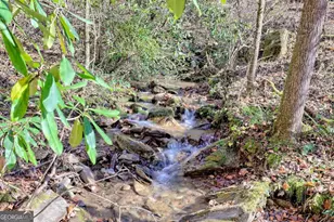 1307 Clear Creek Rd, Hayesville, NC 28904 - Photo 4