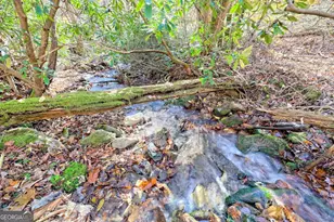 1307 Clear Creek Rd, Hayesville, NC 28904 - Photo 40