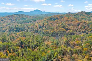 222 Blue Ridge Dr, Sautee Nacoochee, GA 30571 - Photo 98