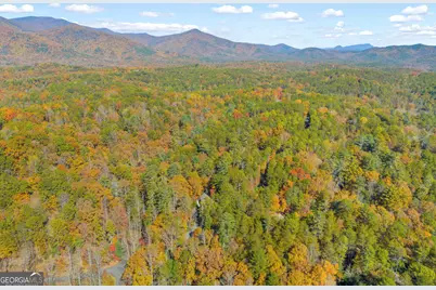 222 Blue Ridge Drive, Sautee Nacoochee, GA 30571 - Photo 100