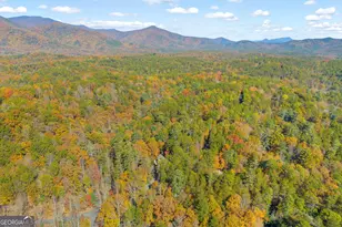 222 Blue Ridge Dr, Sautee Nacoochee, GA 30571 - Photo 100