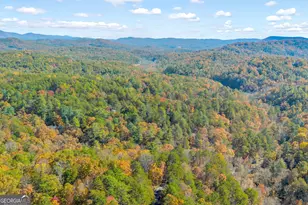 222 Blue Ridge Dr, Sautee Nacoochee, GA 30571 - Photo 96