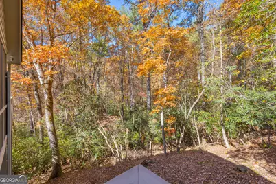 222 Blue Ridge Drive, Sautee Nacoochee, GA 30571 - Photo 84