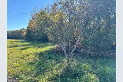 Tract 1 Taylor Road, Lexington, GA 30648 - Photo 6