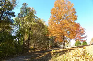 2484 Apple Pie Ridge Rd, Alto, GA 30510 - Photo 100