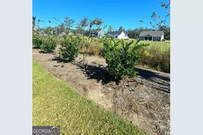 390 Harbour Island Circle, Waverly, GA 31565 - Photo 22