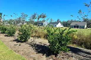 390 Harbour Is Cir, Waverly, GA 31565 - Photo 22