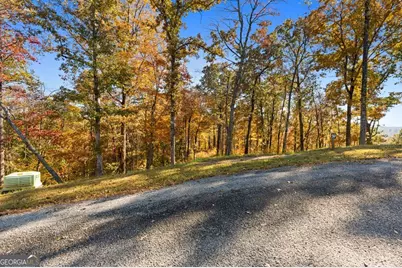 Lot 58 Ridge Line Trail, Ellijay, GA 30540 - Photo 20