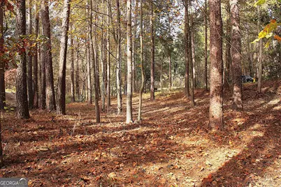 30 Melody Farms Drive, Hartwell, GA 30643 - Photo 10