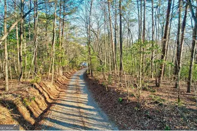 17.67 Ac Rainbow Ridge, Ellijay, GA 30540 - Photo 4