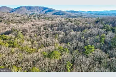 17.67 Ac Rainbow Ridge, Ellijay, GA 30540 - Photo 20