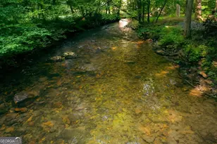 184 Rockhouse Road, Cherry Log, GA 30522 - Photo 8