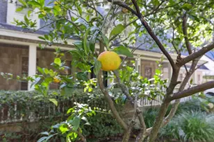 106 Sandcastle Wy, Saint Simons, GA 31522 - Photo 32