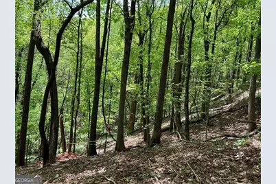 0 Valley View Drive, Big Canoe, GA 30143 - Photo 10