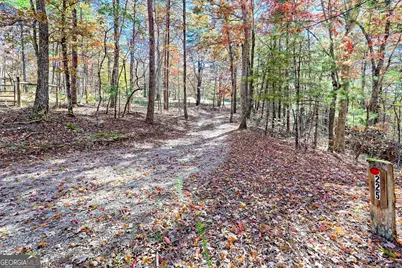 225 Whetstone Mountain Road, Mountain Rest, SC 29664 - Photo 72