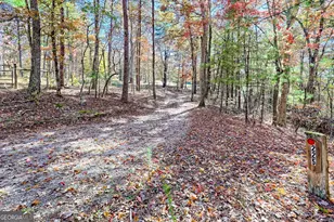 225 Whetstone Mountain Rd, Mountain Rest, SC 29664 - Photo 72