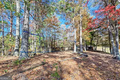 225 Whetstone Mountain Road, Mountain Rest, SC 29664 - Photo 62