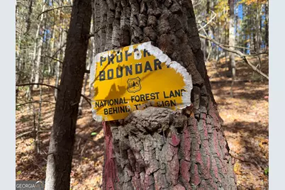 0 Crows Nest Drive, Clayton, GA 30525 - Photo 4