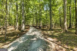 210 Mockingbird Ln, Brooks, GA 30205 - Photo 72