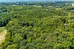 210 Mockingbird Ln, Brooks, GA 30205 - Photo 80