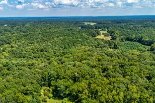 210 Mockingbird Ln, Brooks, GA 30205 - Photo 86