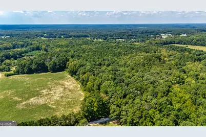 210 Mockingbird Lane, Brooks, GA 30205 - Photo 82