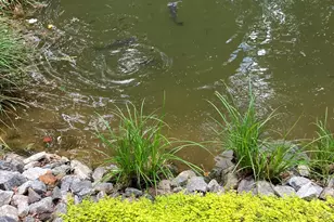 3454 Hwy 254, Cleveland, GA 30528 - Photo 38