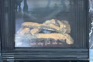 18 American Walk, Peachtree City, GA 30269 - Photo 26