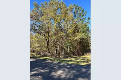 0 Deer Park Road, Sparta, GA 31087 - Photo 4