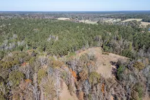 104 Beaver Dam Dr, Eatonton, GA 31024 - Photo 48