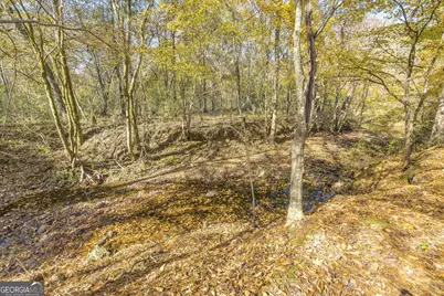 2470 Dr George Ward Drive, Elberton, GA 30635 - Photo 62