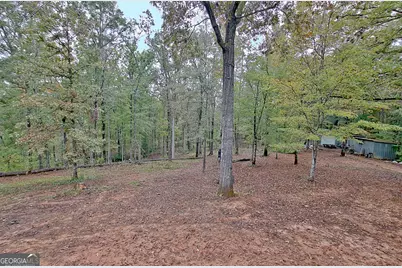 318 Chalybeate Springs Road, Woodland, GA 31836 - Photo 66
