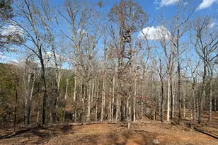 318 Chalybeate Springs Rd, Woodland, GA 31836 - Photo 70