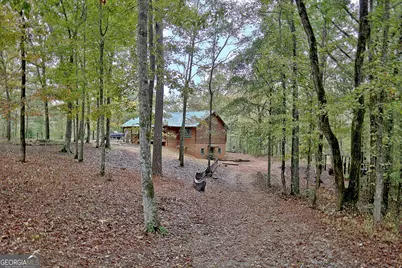 318 Chalybeate Springs Road, Woodland, GA 31836 - Photo 62