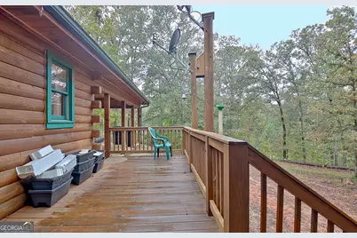 318 Chalybeate Springs Road, Woodland, GA 31836 - Photo 18