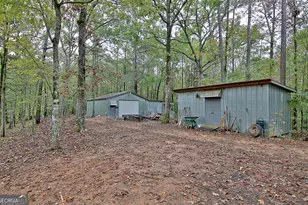 318 Chalybeate Springs Rd, Woodland, GA 31836 - Photo 64