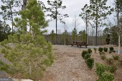 Lot 28 High Summit Drive #28, Talking Rock, GA 30175 - Photo 28